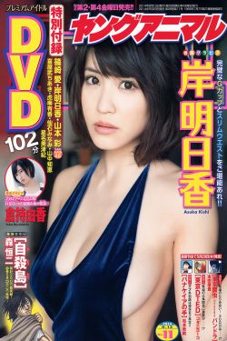 山河恋分集剧情介绍(1